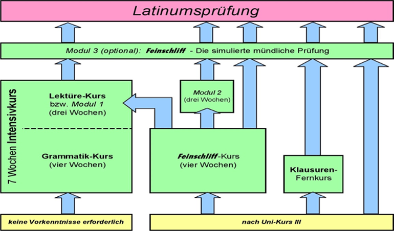 LateinIntensivkurse in Münster Fundamentum Latinum Münster
